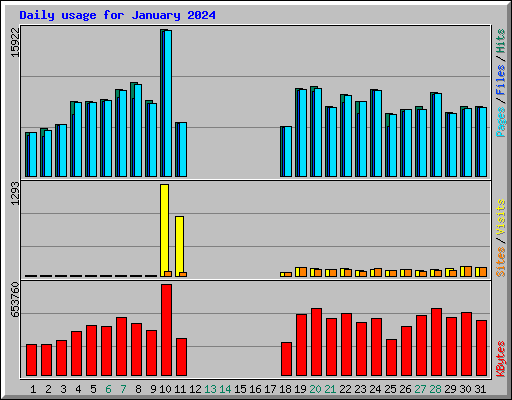 Daily usage for January 2024