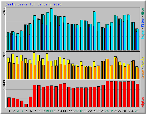 Daily usage for January 2026