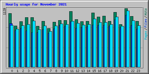 Hourly usage for November 2021