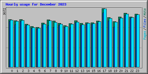 Hourly usage for December 2023