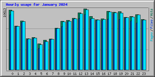 Hourly usage for January 2024