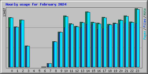 Hourly usage for February 2024