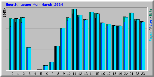 Hourly usage for March 2024