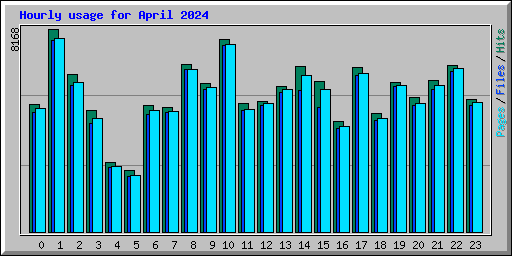 Hourly usage for April 2024