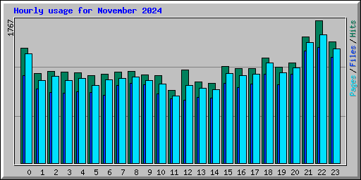 Hourly usage for November 2024