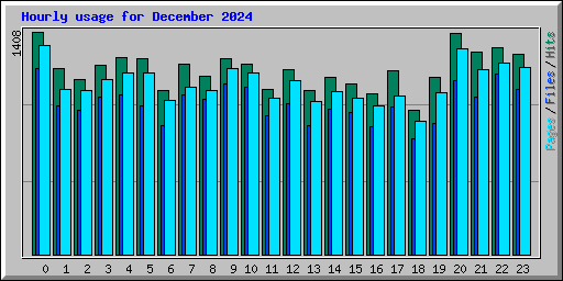 Hourly usage for December 2024