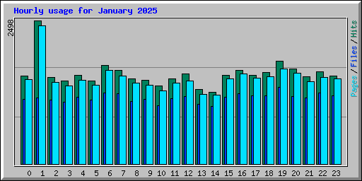 Hourly usage for January 2025