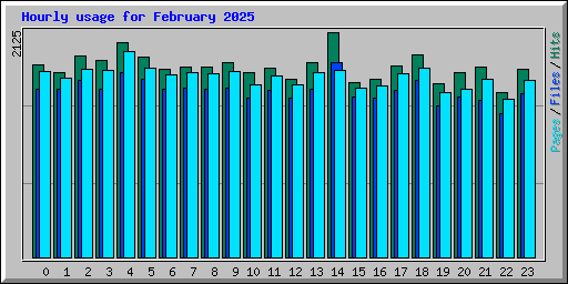 Hourly usage for February 2025