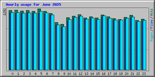 Hourly usage for June 2025