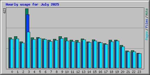 Hourly usage for July 2025