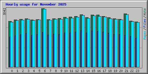 Hourly usage for November 2025