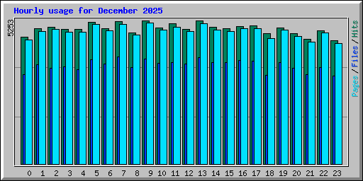 Hourly usage for December 2025
