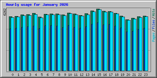 Hourly usage for January 2026
