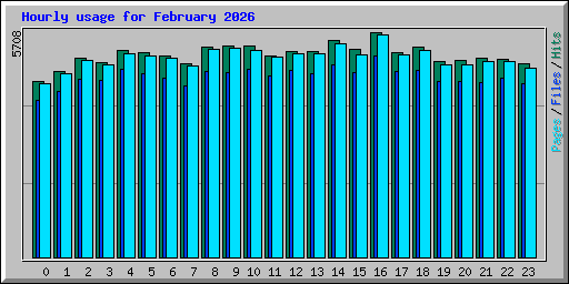Hourly usage for February 2026