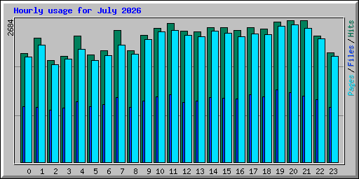 Hourly usage for July 2026