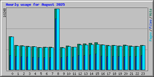 Hourly usage for August 2025